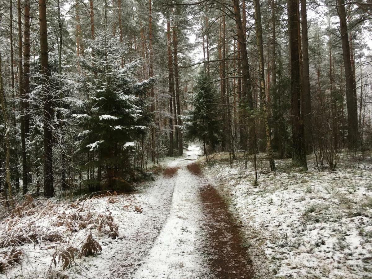Vila Migla Paseksciai Exteriör bild