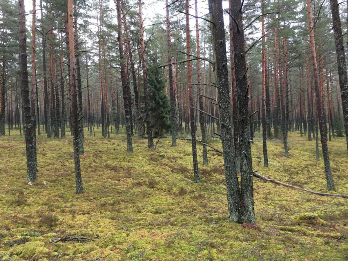 Vila Migla Paseksciai Exteriör bild