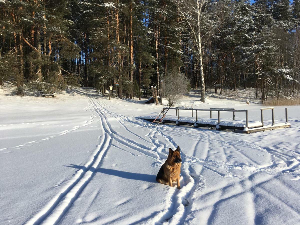 Vila Migla Paseksciai Exteriör bild