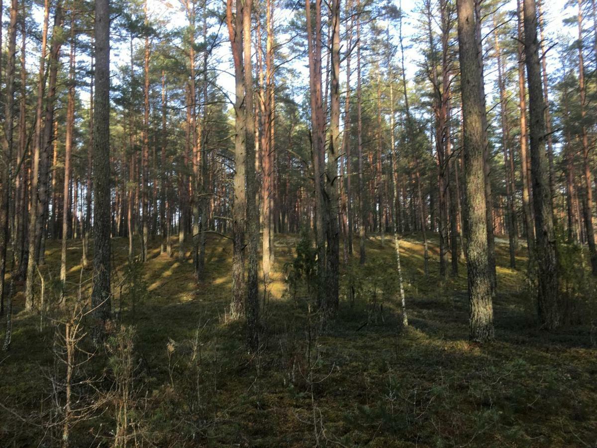 Vila Migla Paseksciai Exteriör bild