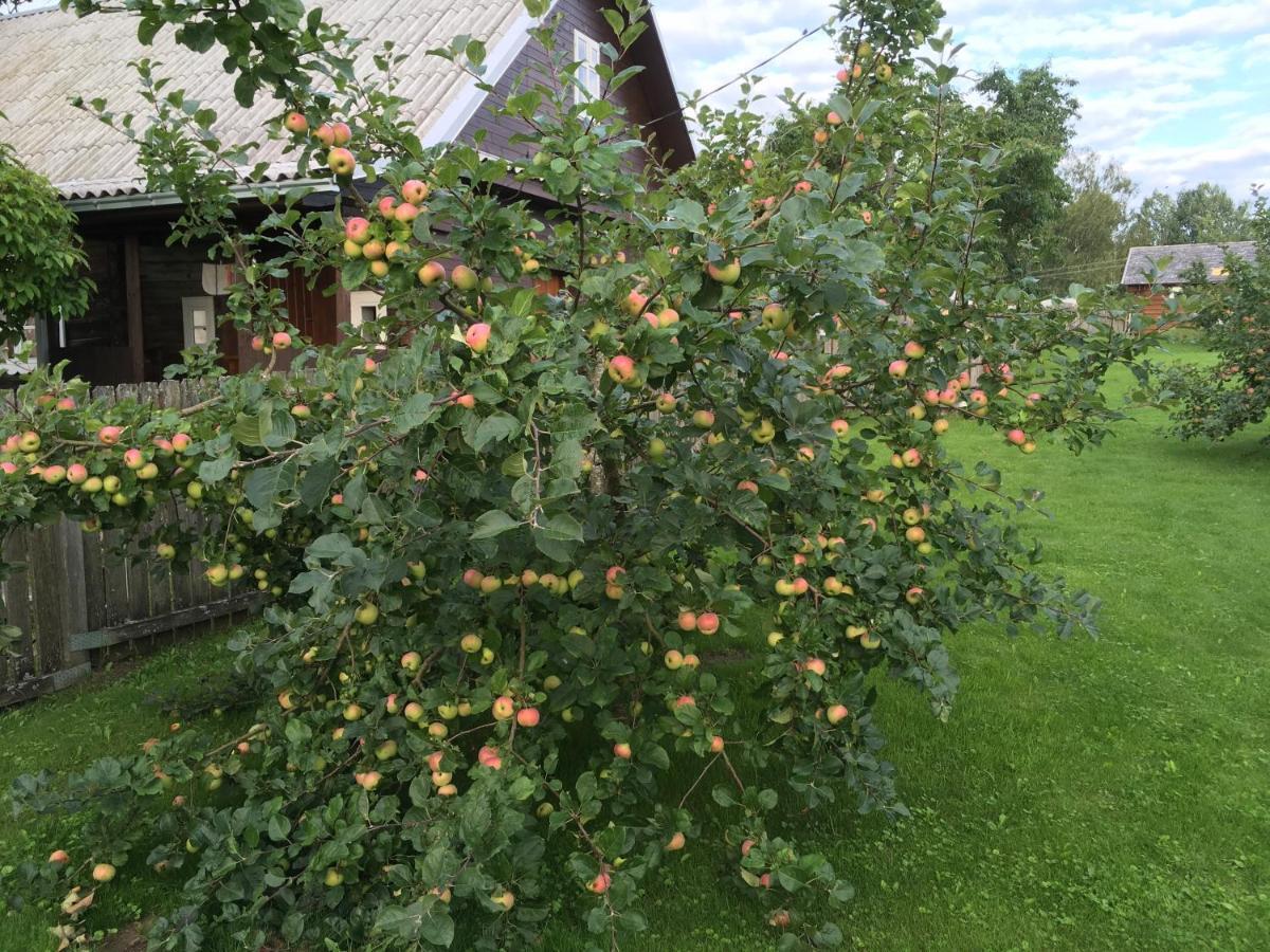 Vila Migla Paseksciai Exteriör bild